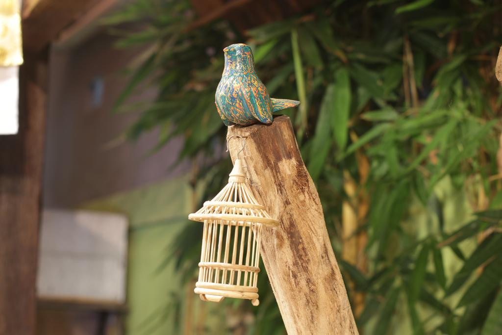 กรีน เบิร์ด วิลลา Hotel อูบุด ภายนอก รูปภาพ
